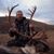 Brad Sullivan's profile image