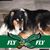 Terri L Camp's profile image