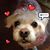 Mimi Han's profile image