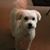 Barb Haley Kirkman's profile image