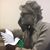 Lucinda Davis Griesey's profile image