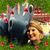 Susan Sikes-Johnson's profile image