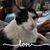 Lena La Barbera Patterson's profile image