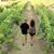 Mary Spears La Rosa's profile image