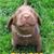 Shawna Johnson's profile image