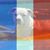Jackie Kelly's profile image