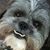 Larie Jacobson's profile image