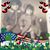 Betty Jean Cooley Cummins's profile image