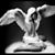 Angel Lynne's profile image