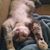 Melissa Flatt's profile image