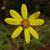 Joann S.'s profile image