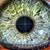 Shauna Verbal Rich's profile image