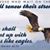 Valerie Benak's profile image