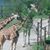 Susanne Trotter's profile image
