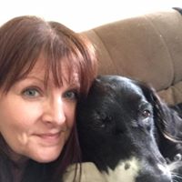 Sheri Rocha's profile image