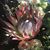 Shannon Janco's profile image