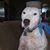Jeremy Loflin's profile image