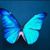 Belem Juarez's profile image