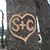 Carrie Shain Helton's profile image