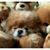 Revelle Bahbah's profile image
