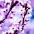 Heather Burns's profile image