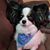 Luis Cruz's profile image