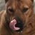 Jennifer Pelliccio's profile image