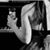 Chryssanthemum Spinnaker's profile image