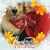 Paul Nieves's profile image