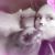 Brandi Speer's profile image