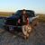 Ziggy Wood's profile image