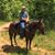 Ike Lanier's profile image