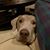 David Mack's profile image