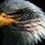 Warren Cable's profile image