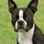 Robert J. Anderson's profile image
