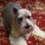 Robyne Turner Hall's profile image