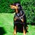 Christel Muehle's profile image