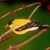 Susan Coleman Gray's profile image