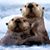 Lynn Farquhar Cramer's profile image