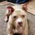Penny Van Nostrand's profile image