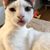 Kris Witman's profile image