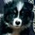 Carla Marks's profile image