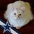 Gretchen Liles's profile image