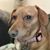 Auntie Bobi's profile image