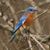 Jan Lawson Young's profile image