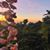 Christen Carpenter Latham's profile image