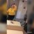 Alaysha Cashdollar's profile image
