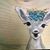 Sue Overhulser-Newell's profile image