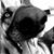 Kevin Majors's profile image