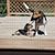 Lora Roth Saric's profile image